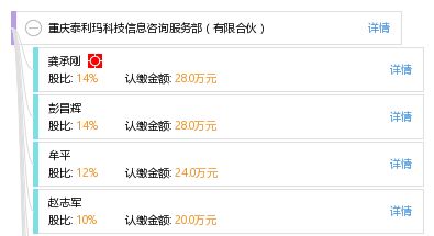 立足專業，服務未來 重慶泰利瑪科技信息咨詢服務部的信息技術咨詢服務